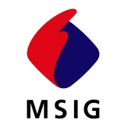 MSIG